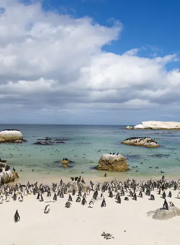 Escapada a Ciudad del Cabo