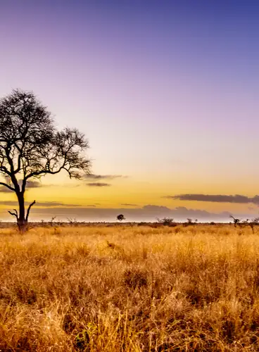 Esencia de Sudáfrica Quality