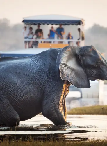 Cataratas Victoria y Crucero por el Río Chobe