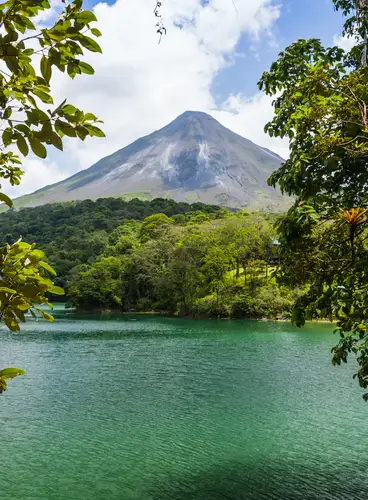 Tortugas y Quetzales