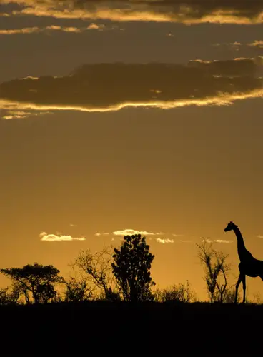 Zimbabwe Espectacular