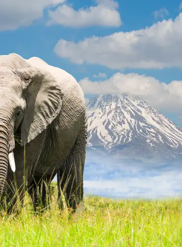 Tierras de Tanzania Deluxe