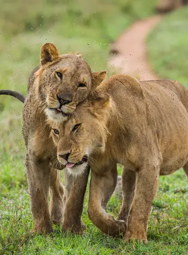 Descubriendo el Sur de Tanzania