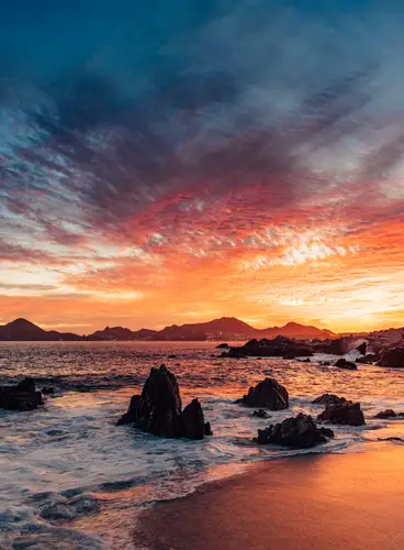 Bajo el Mar de Los Cabos