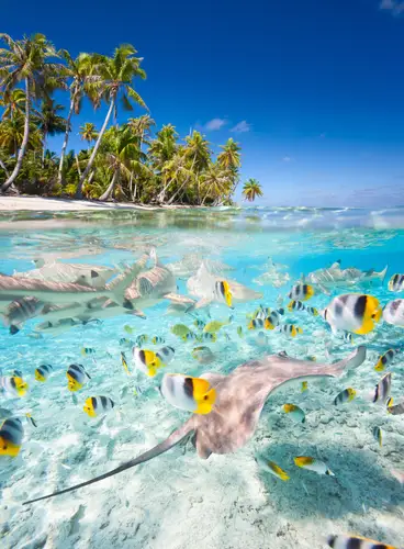 Crucero Star Breeze: Islas de la Sociedad