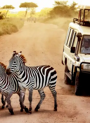 Tanzania Salvaje Especial Verano