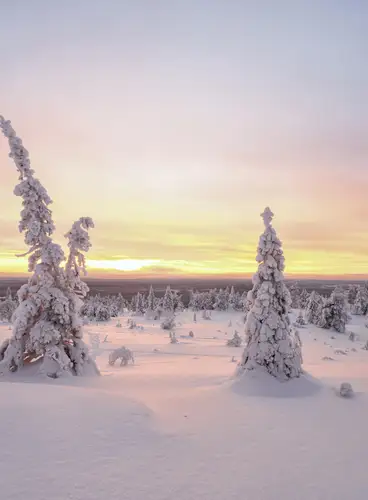 Especial Puente de Diciembre en Cabañas Holiday Village Himmerki