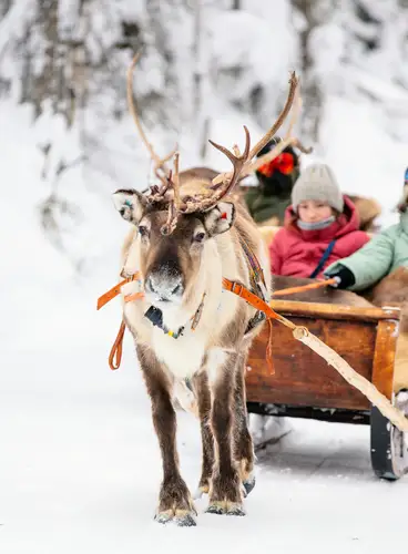 Especial Puente de Diciembre en Ruka: Rukan Salonki