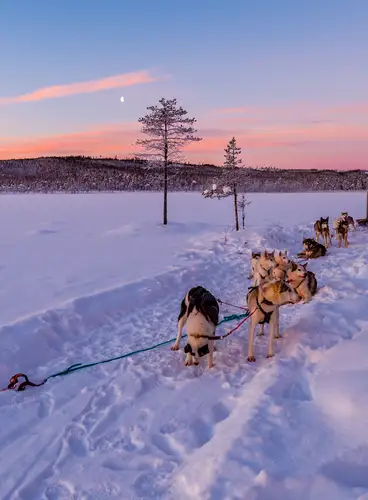 Especial Reyes en Kuusamo: Holiday Club Kuusamo Tropiikki