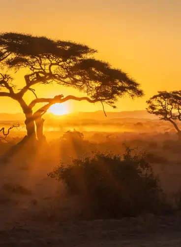 Secretos del Sur de África