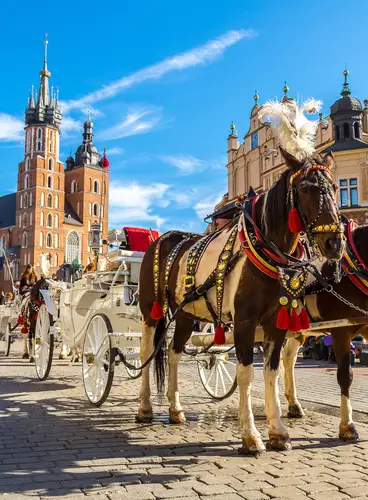 Polonia de Sur a Norte