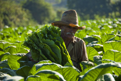 EXCURSIÓN A VIÑALES