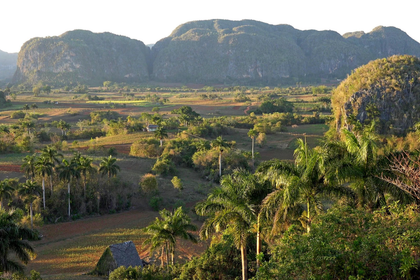 EXCURSIÓN A VIÑALES