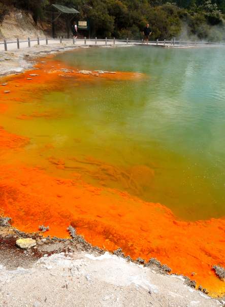 Nueva Zelanda y Polinesia Neozelandesa