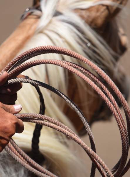 Rodeo en Canadá Especial Estampida