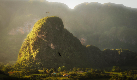 VISITA VIÑALES CUBA