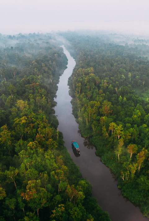 Parque Tanjung Puting