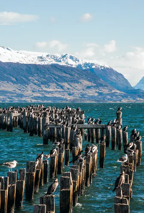 Puerto Natales