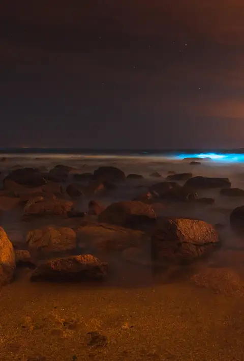 Bahías Luminiscentes