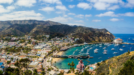 Isla Catalina, California