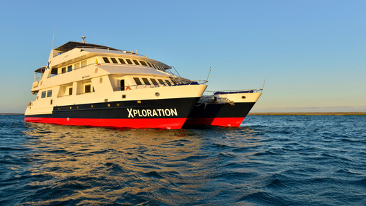 Celebrity Xploration