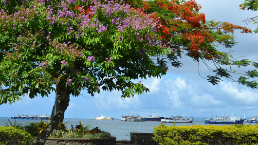 Suva, Fiyi