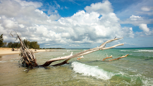 Pomene, Mozambique