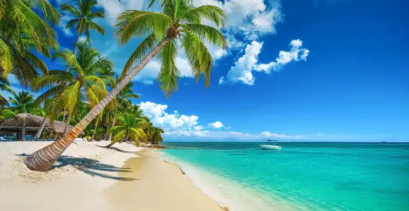 Destino img