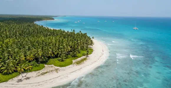 Descubre Isla Saona: Paraíso de 