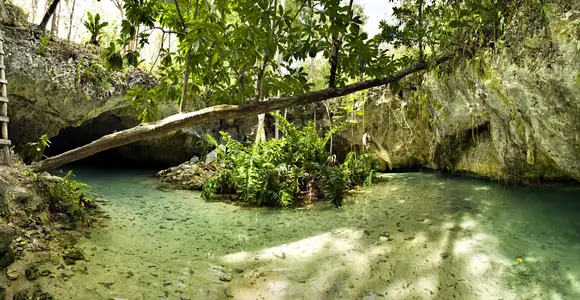 Descubre las ruinas y cenotes de Playa del Carmen