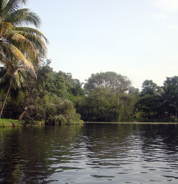 LA CIÉNAGA DE ZAPATA