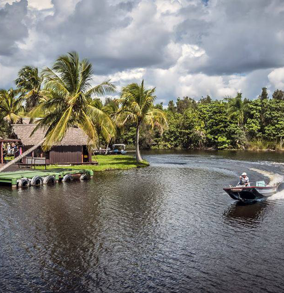 LA CIÉNAGA DE ZAPATA