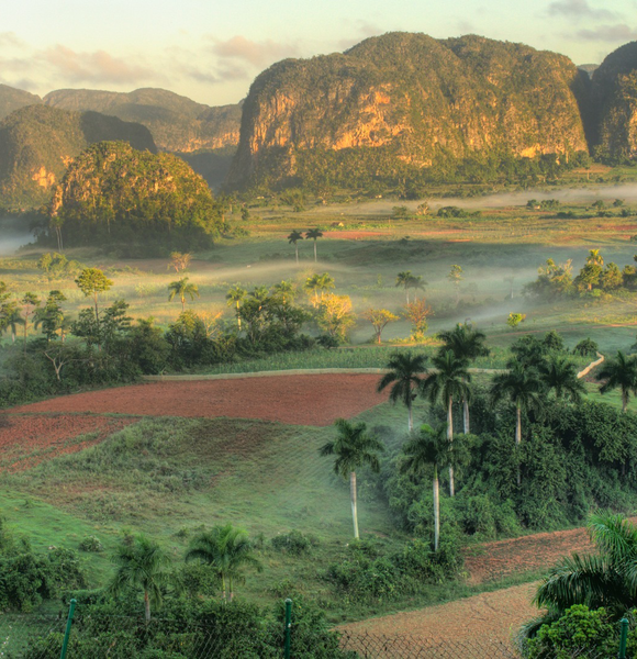 EXCURSIÓN A VIÑALES