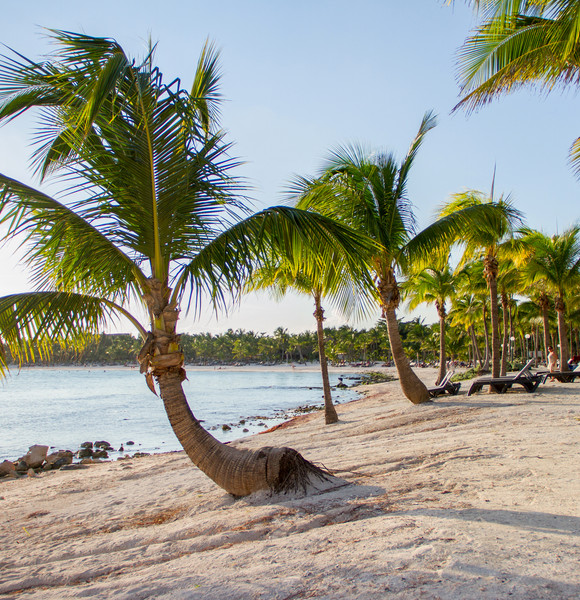 Barceló Maya Beach 5*