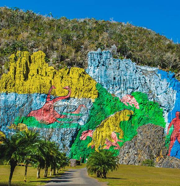 EXCURSIÓN A VIÑALES