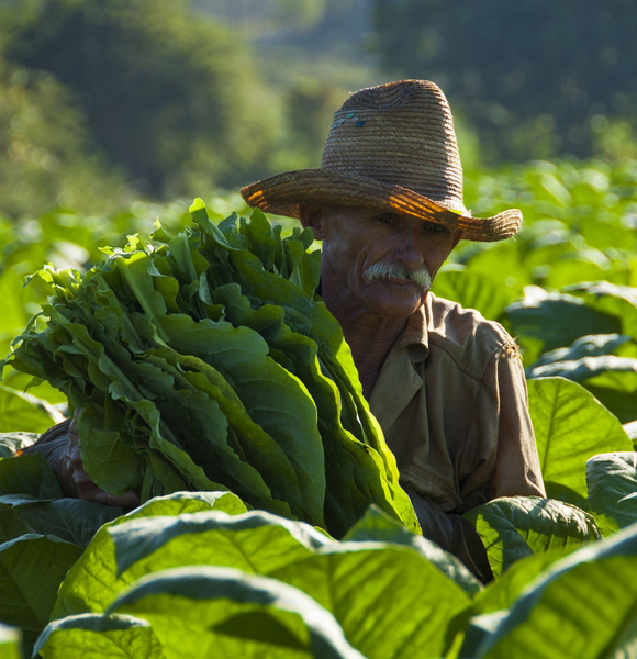 EXCURSIÓN A VIÑALES