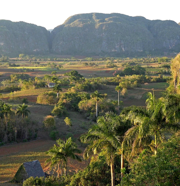 EXCURSIÓN A VIÑALES