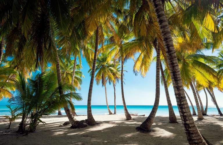 Descubre Isla Saona: Paraíso de 