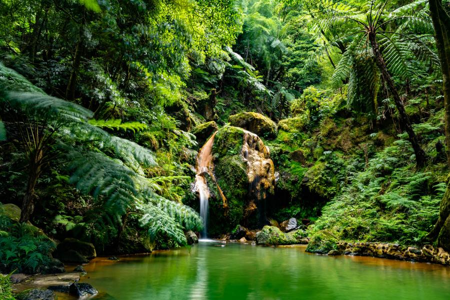 Furnas com almoço de cozido, Caldeira Velha e Lagoa do Fogo
