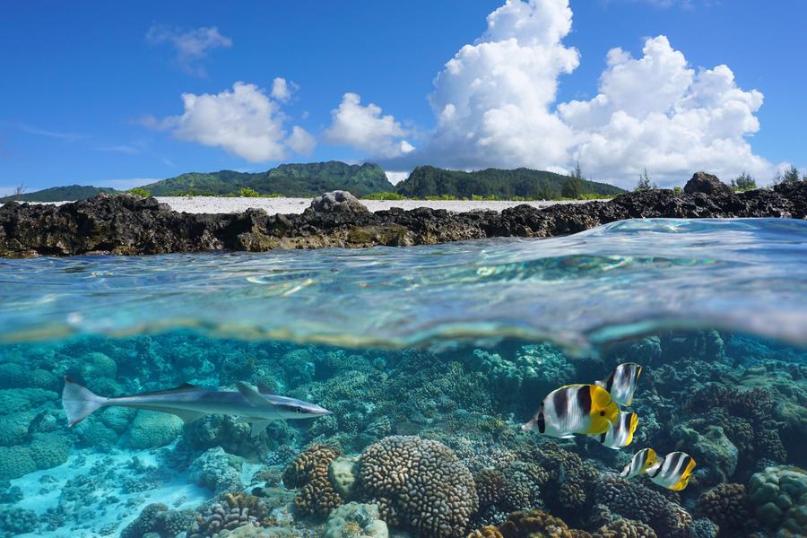 Huahine (dias 3 a 4)