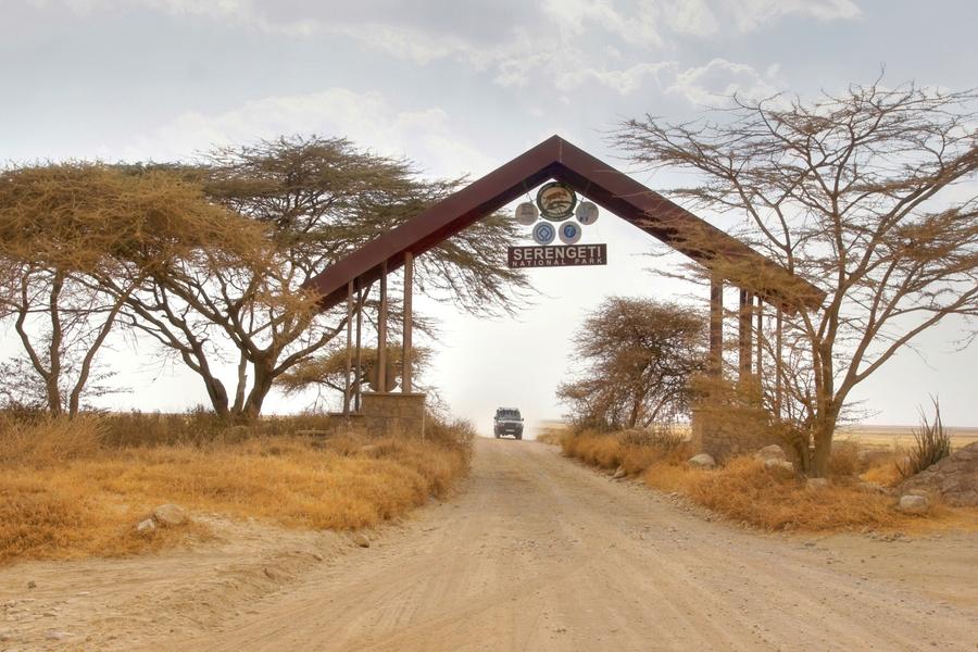 Manyara / Tarangire → P. N. Serengeti