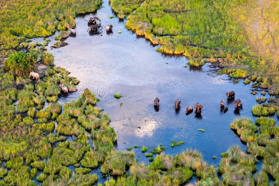 Moremi → Delta do Okavango