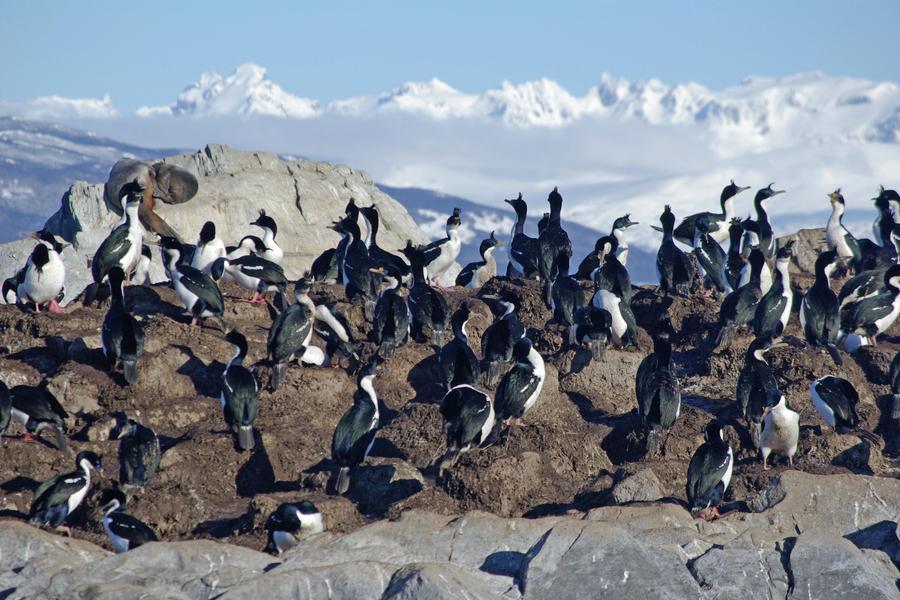 Ushuaia → El Calafate