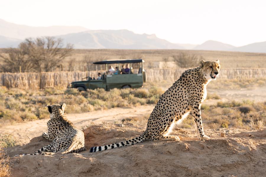 Kruger
