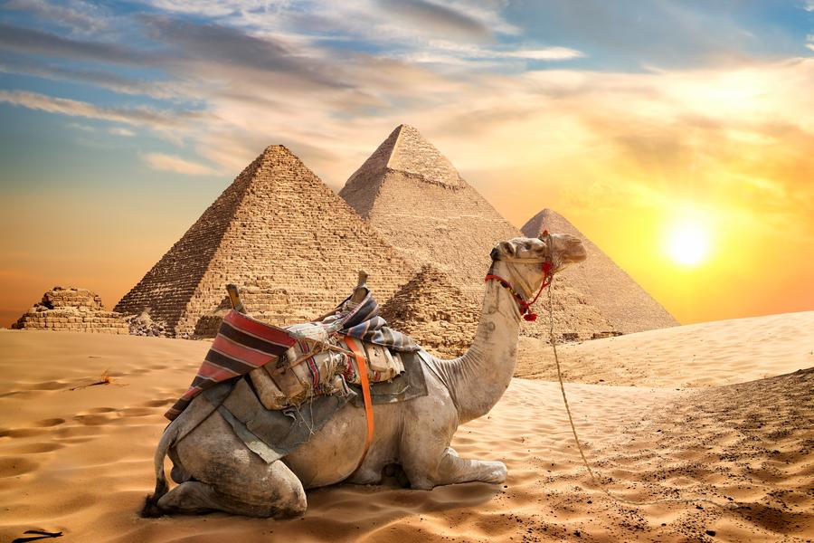 Cairo (Gizé)