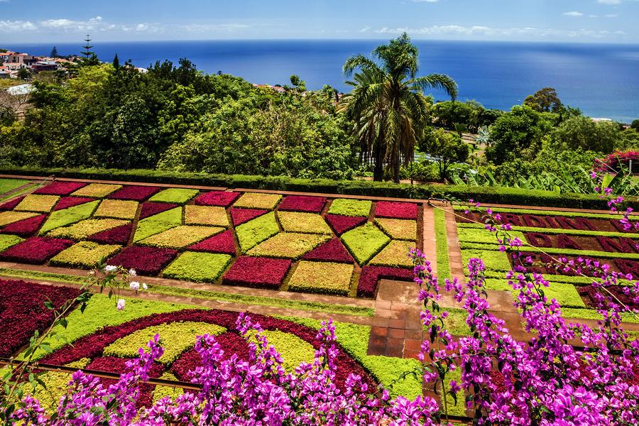 Madeira | Fim de Ano