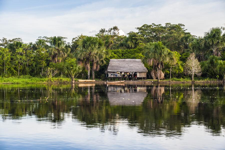 Ecolodge Pacaya Samiria