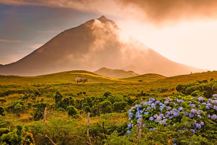 Pico → Faial