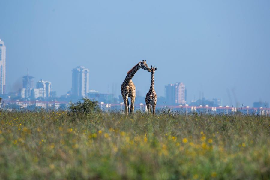 Nairobi