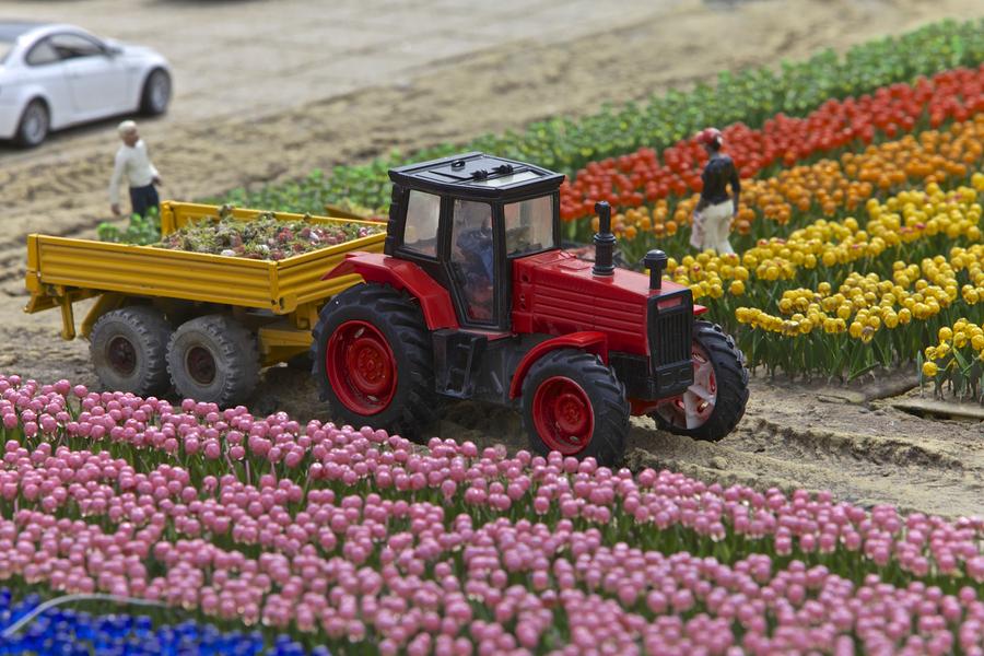 Aalsmeer → Haia → Madurodam → Lisboa ou Porto